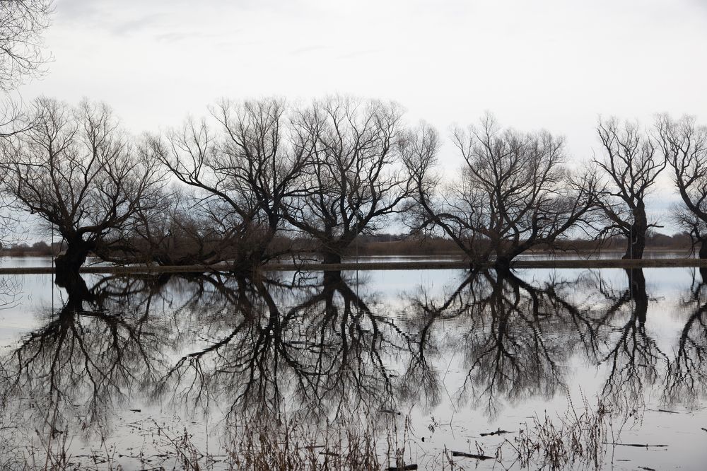 Photograph by Nadezhda Bakina