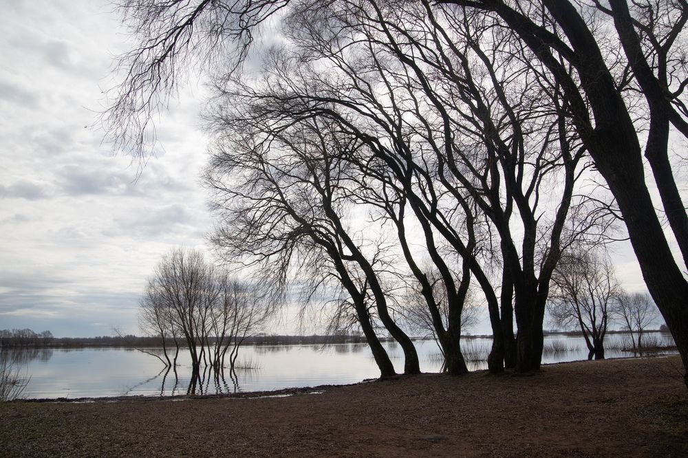 Photograph by Nadezhda Bakina