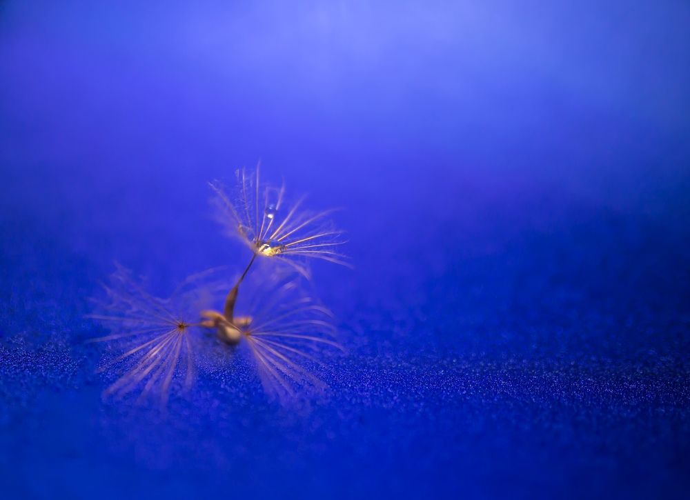 Photograph by Анна Селезнева