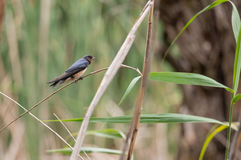 Photograph by Mahmut YILMAZ