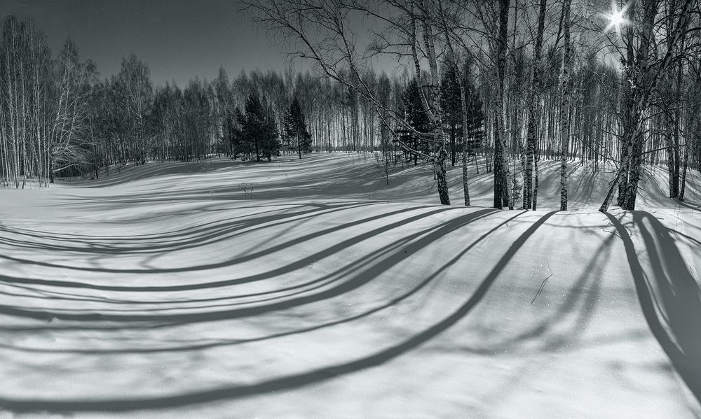 Photograph by Чичкин Валерий