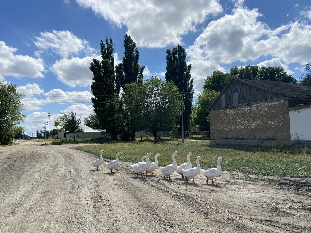 Фотография автора Anastasia