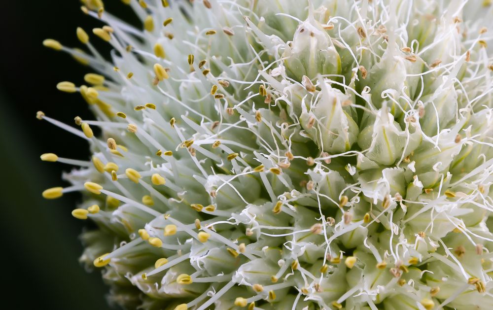 Photograph by Олег Малетин