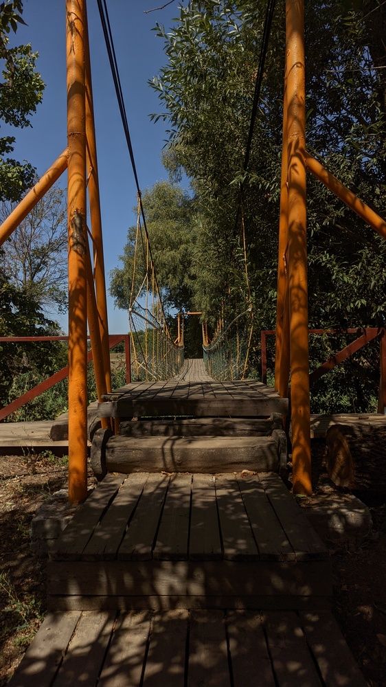 Фотография автора Васильева Ирина