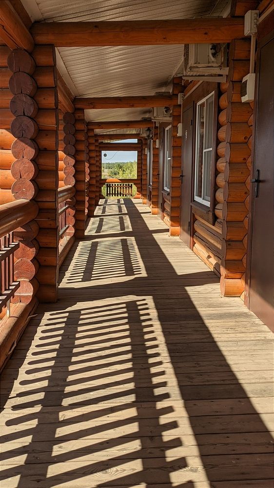 Фотография автора Васильева Ирина