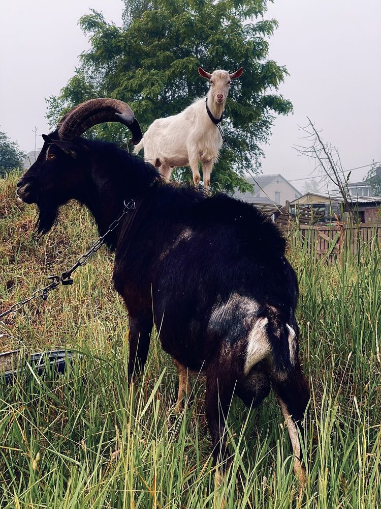 Photograph by Максим Азарчик