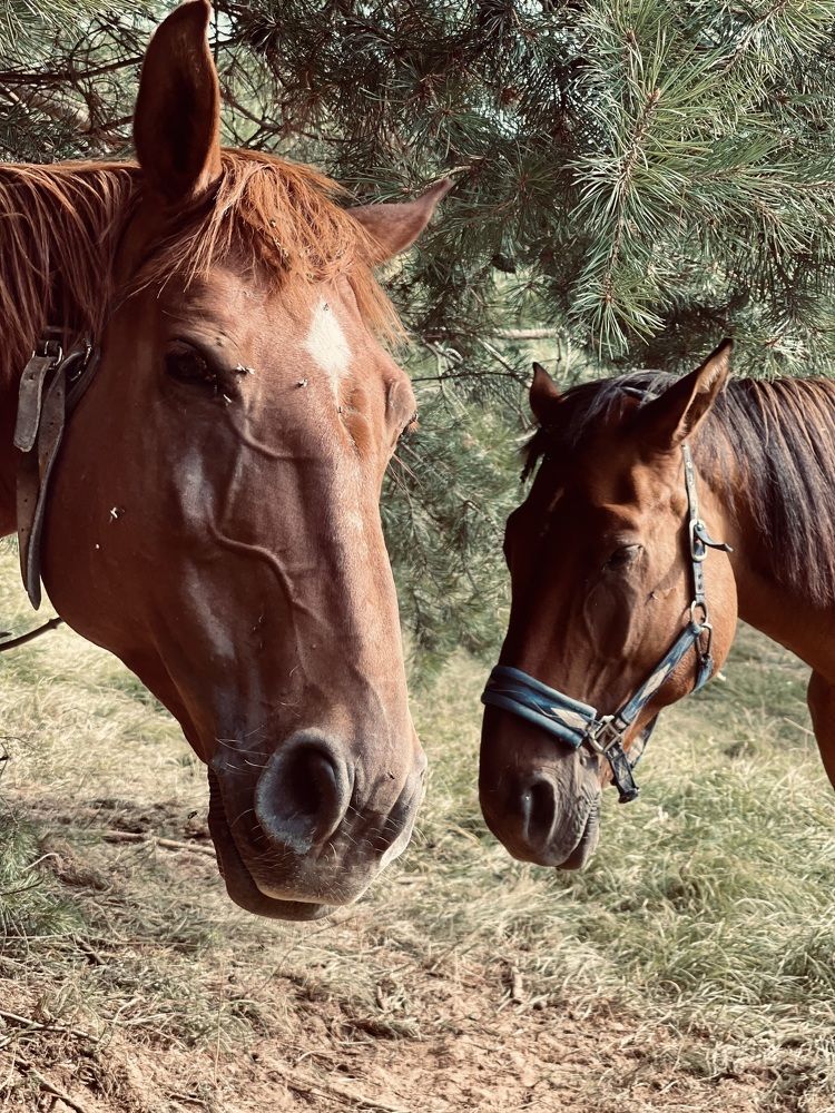 Photograph by Максим Азарчик