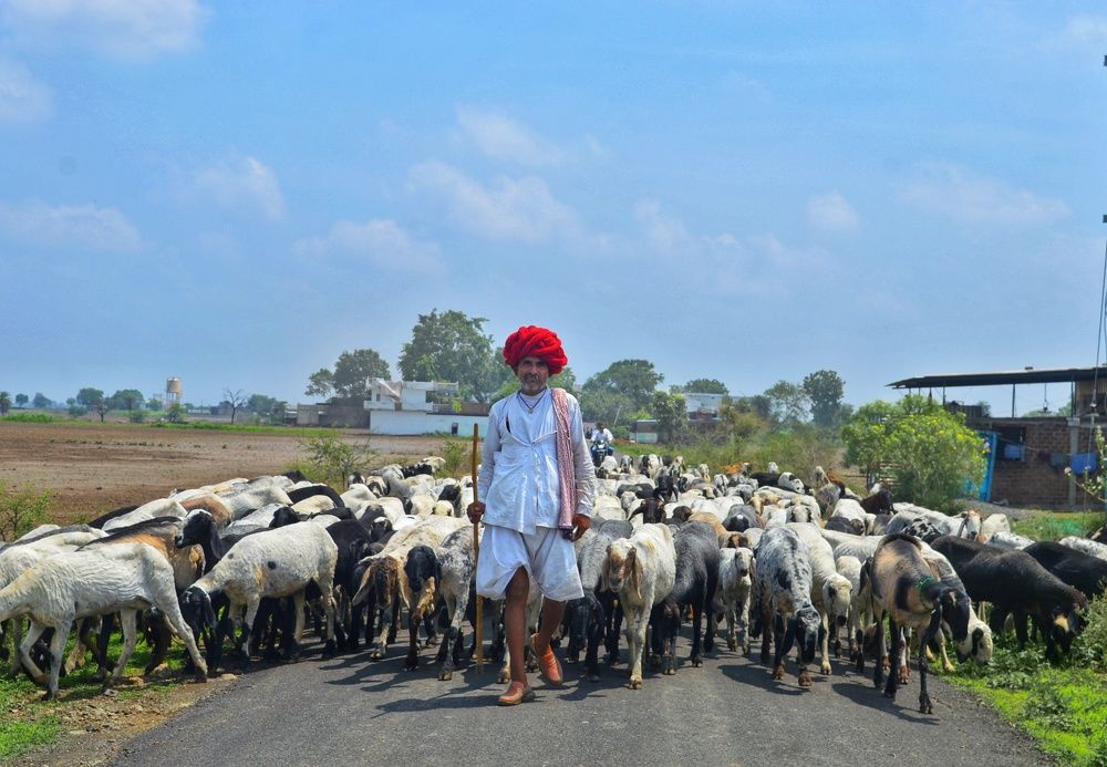 Photograph by Shalabh Srivastava