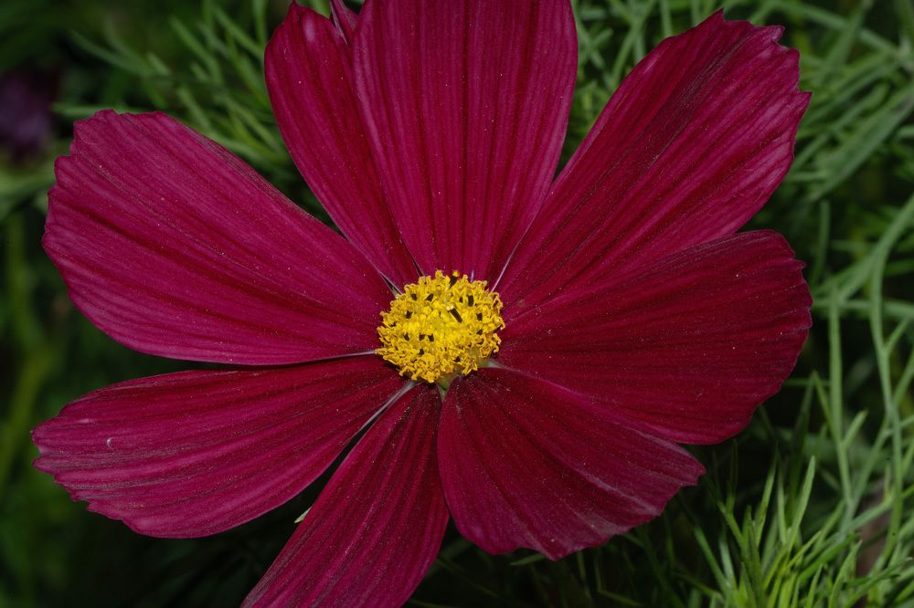 Фотография автора Ruslan Badykov