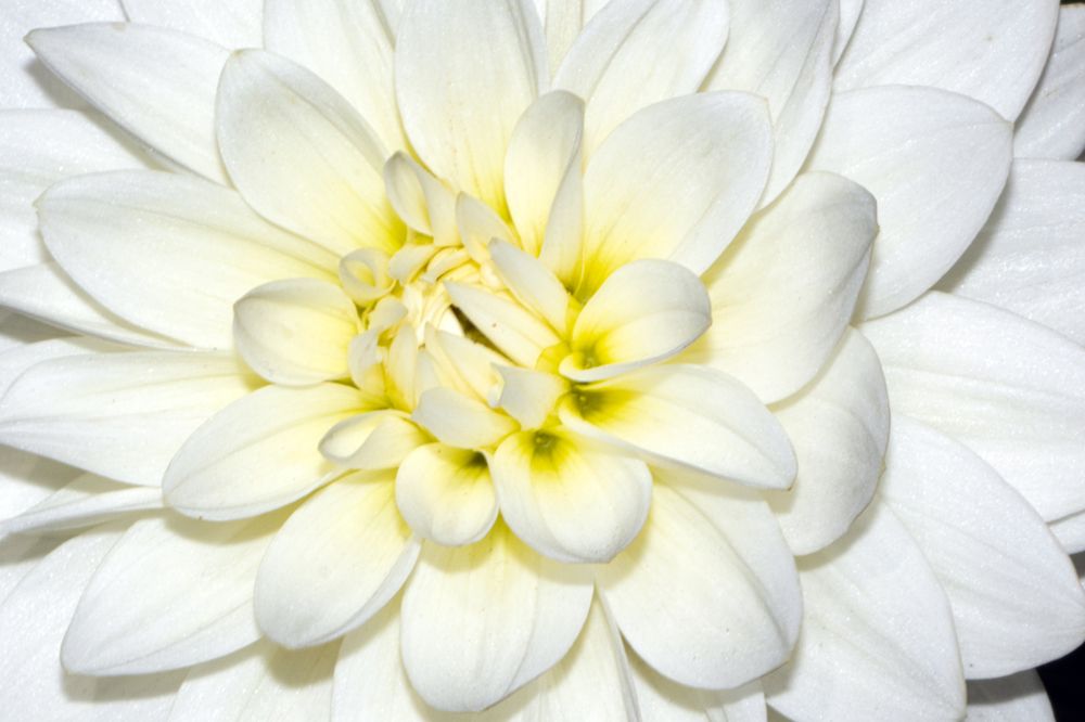 Фотография автора Ruslan Badykov