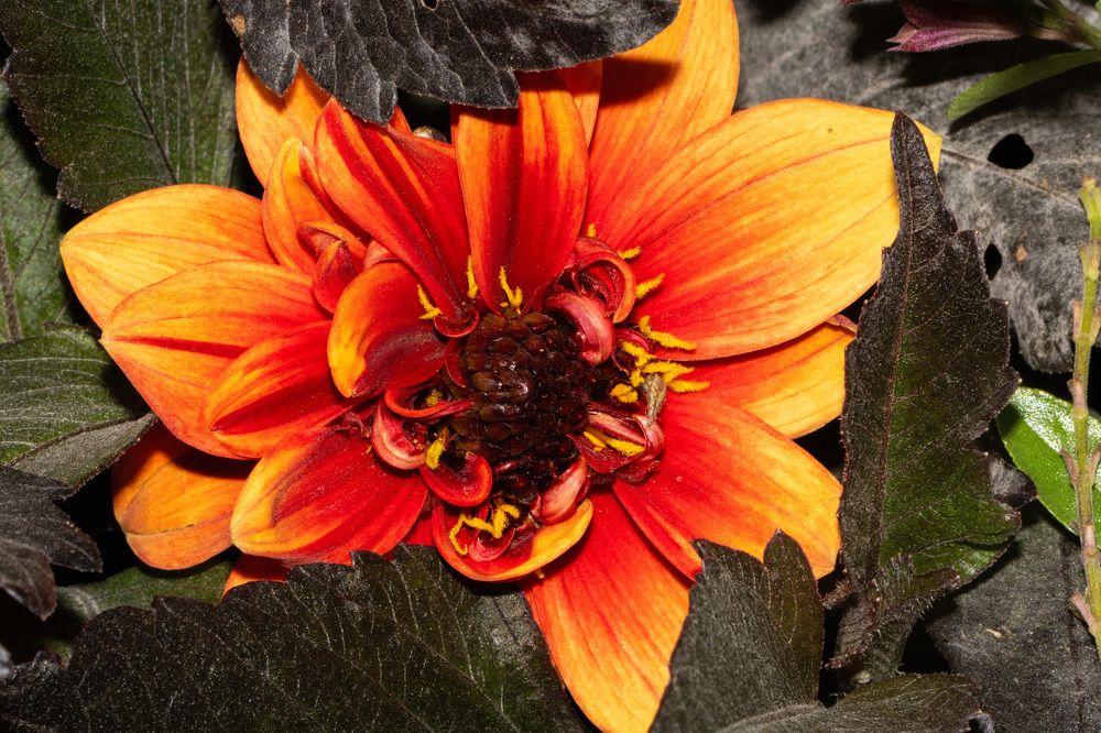 Фотография автора Ruslan Badykov