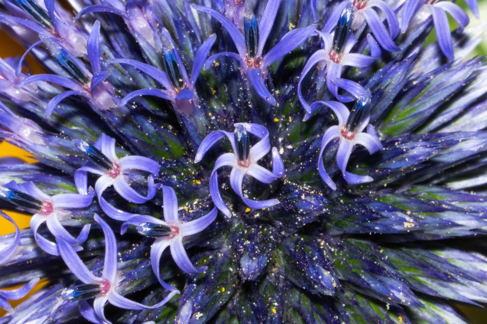 Фотография автора Ruslan Badykov