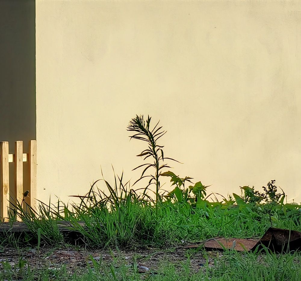 Photograph by Юрий Полушин