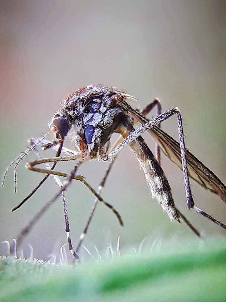 Photograph by Марина Мальцева