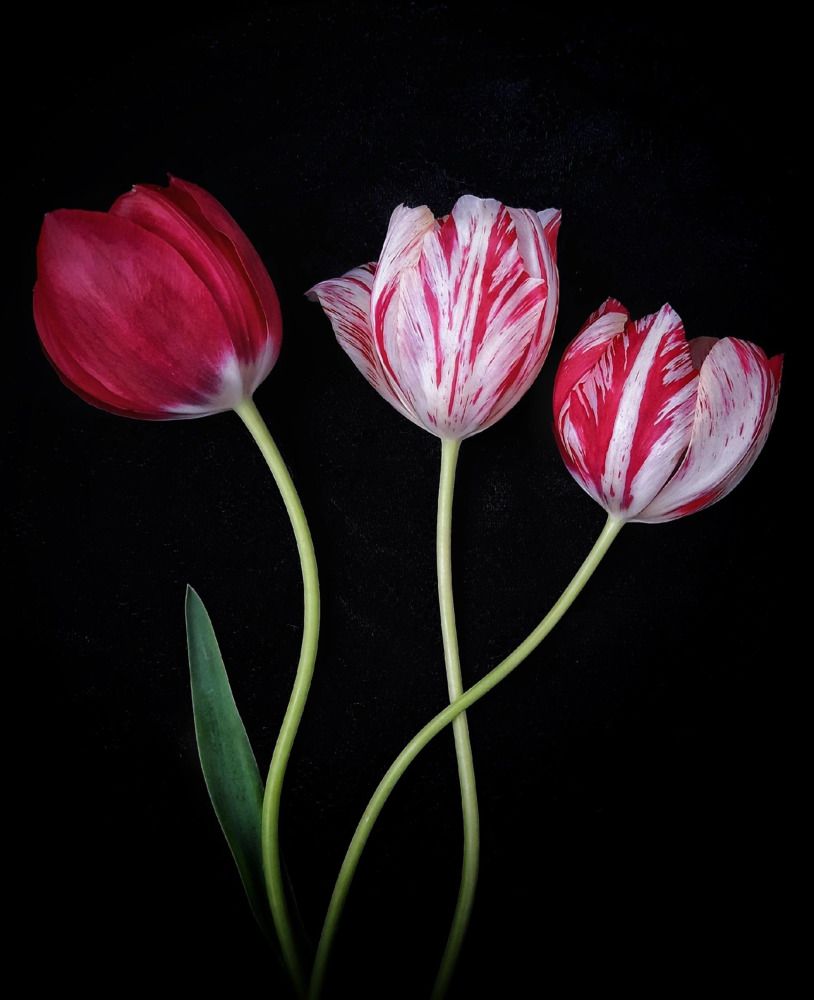 Photograph by Марина Мальцева