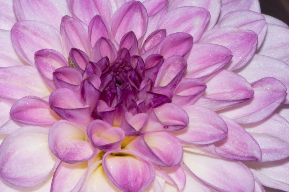 Фотография автора Ruslan Badykov