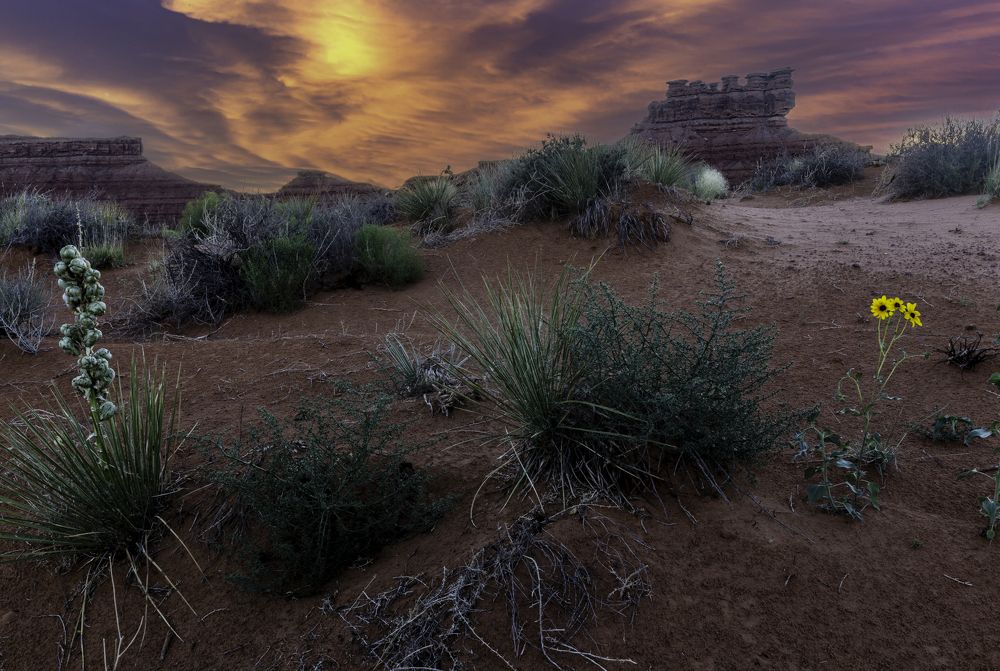 Photograph by John Vermette