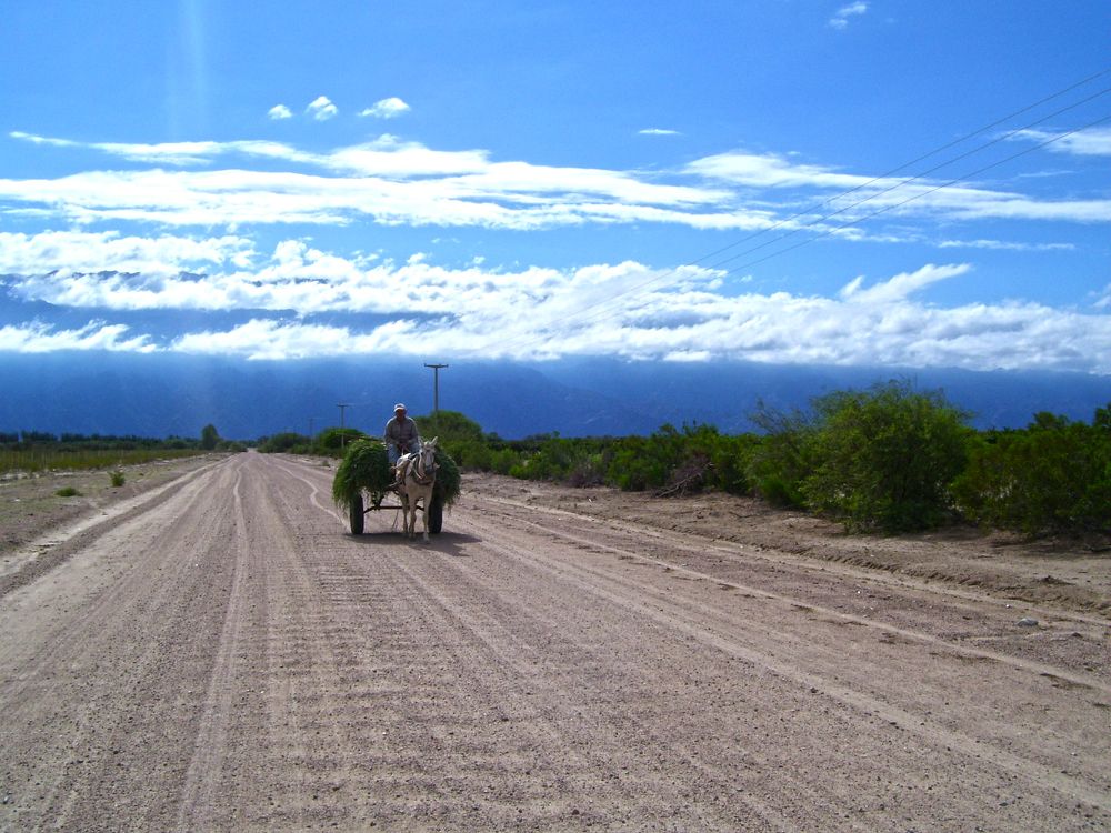 Фотография автора MIGUEL OMAR BARBERIS