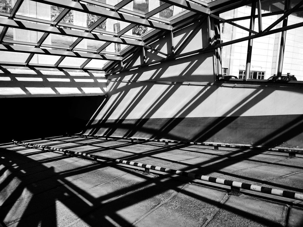 Photograph by Игорь Пшеничников