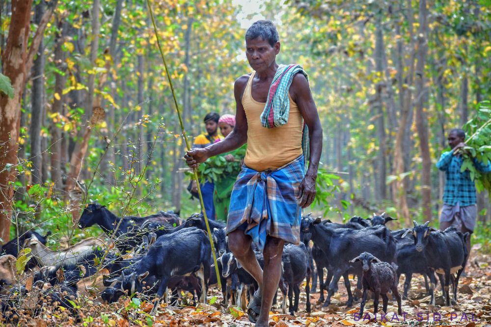 Photograph by SAIKAT PAL