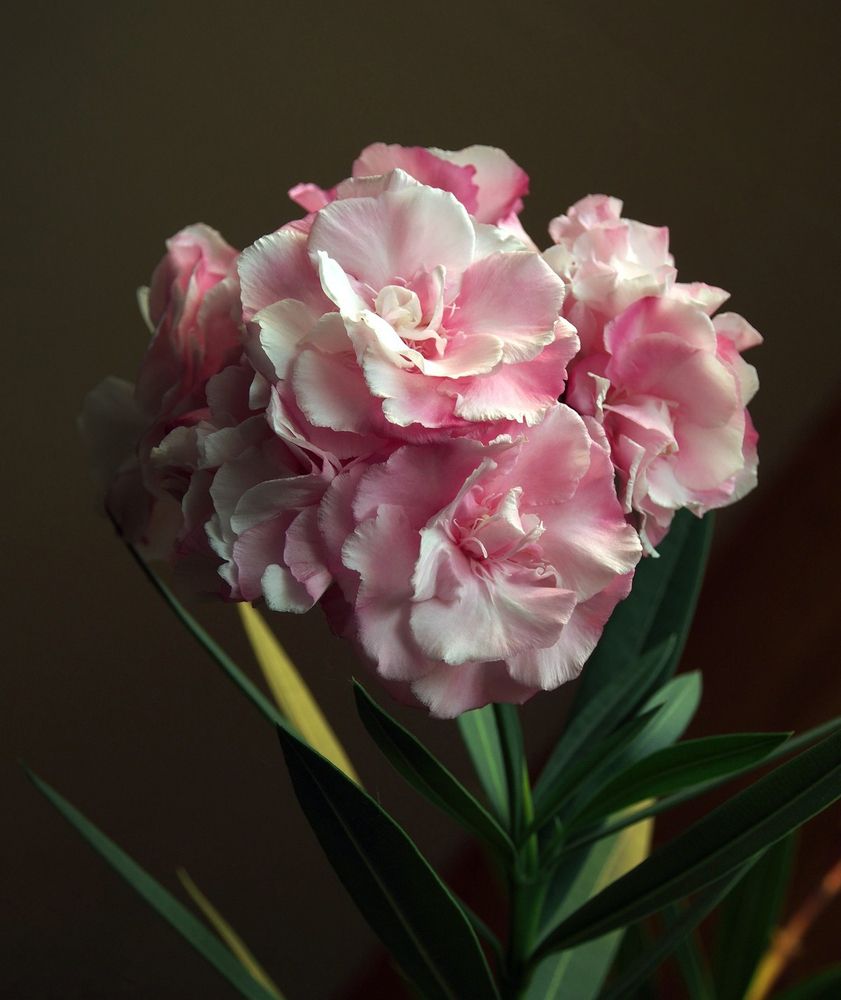 Photograph by Илфир Исламгазин