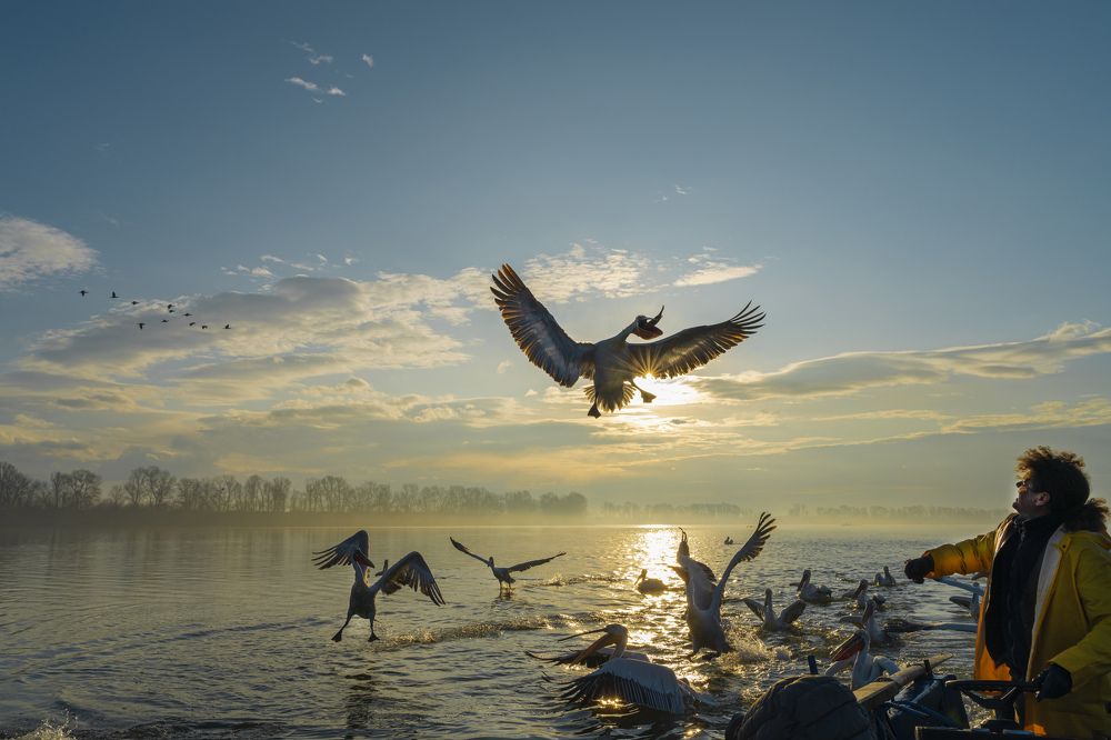 Photograph by Chris Stavrakas