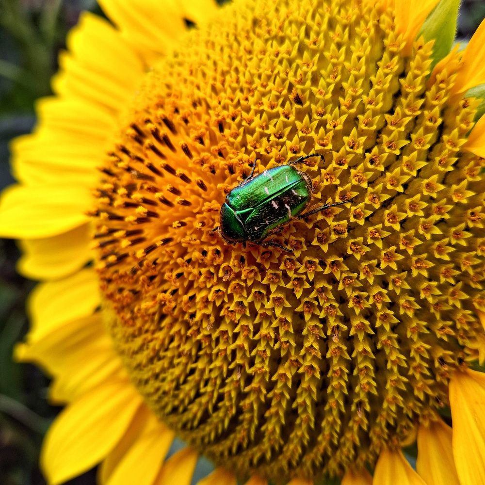 Photograph by Марина Мальцева