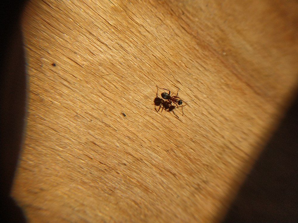 Photograph by Анастасия Кудина