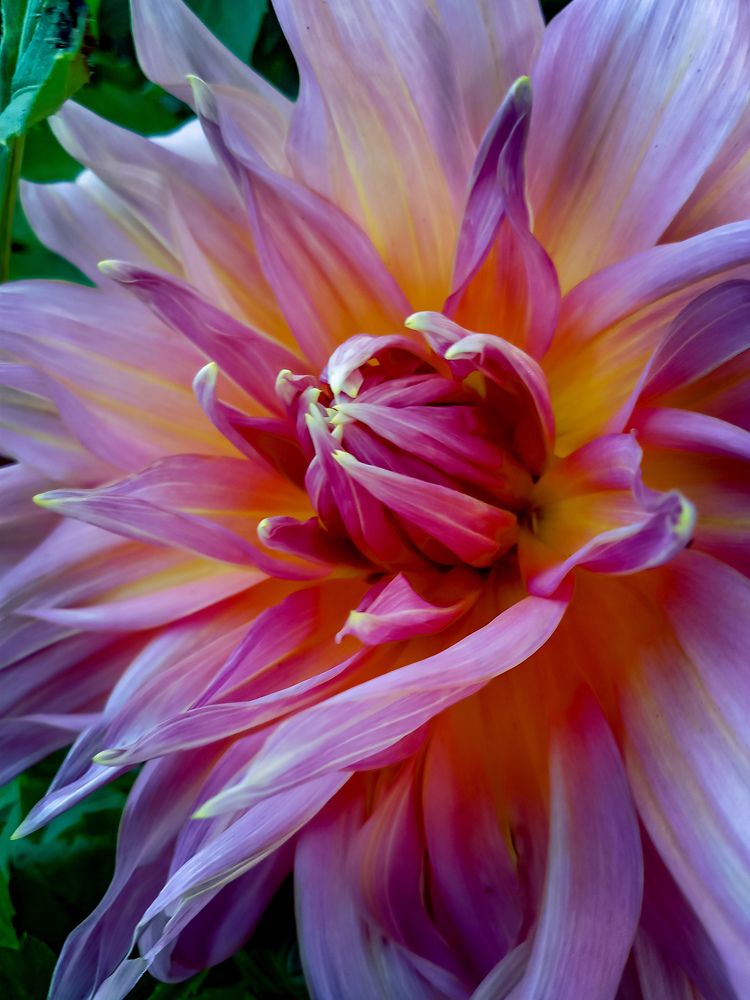 Photograph by Shahzad