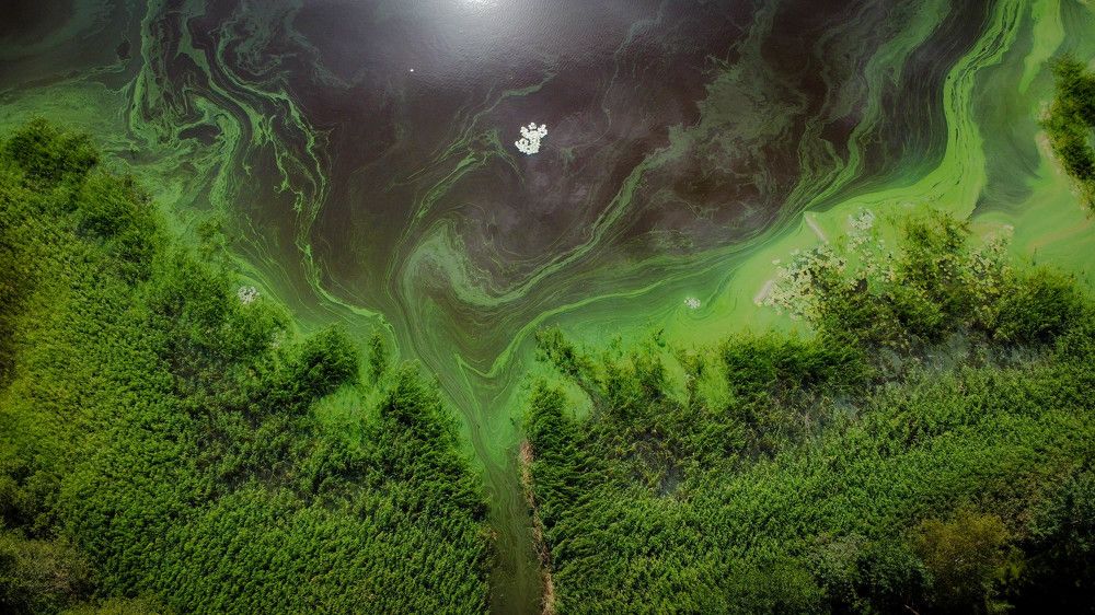 Photograph by Olga Degtjareva