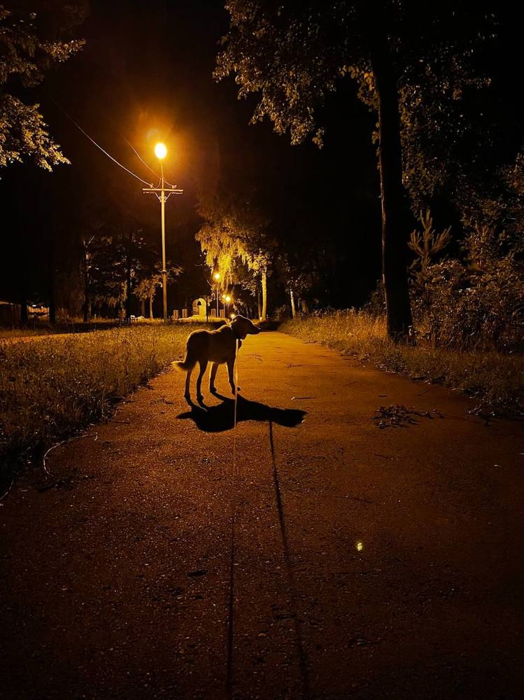 Photograph by Александр Михайлович