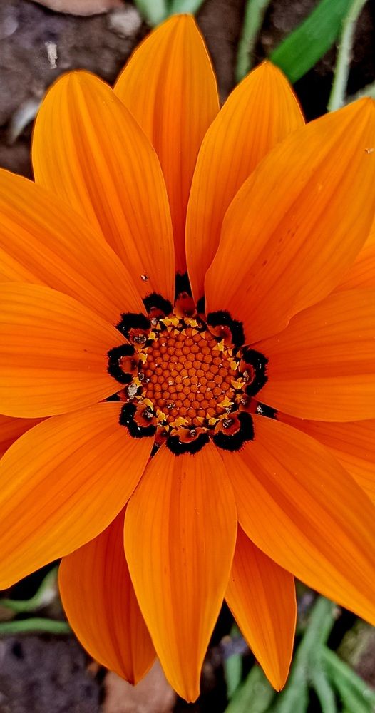 Photograph by Vidhyaba Parmar