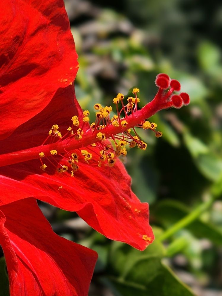 Фотография автора Galina Israiliv