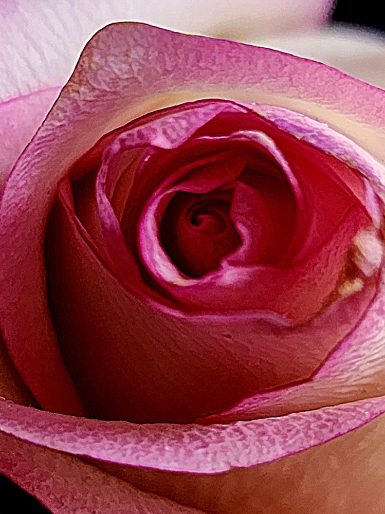 Фотография автора Galina Israiliv