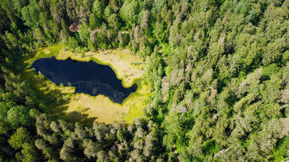 Photograph by Olga Degtjareva