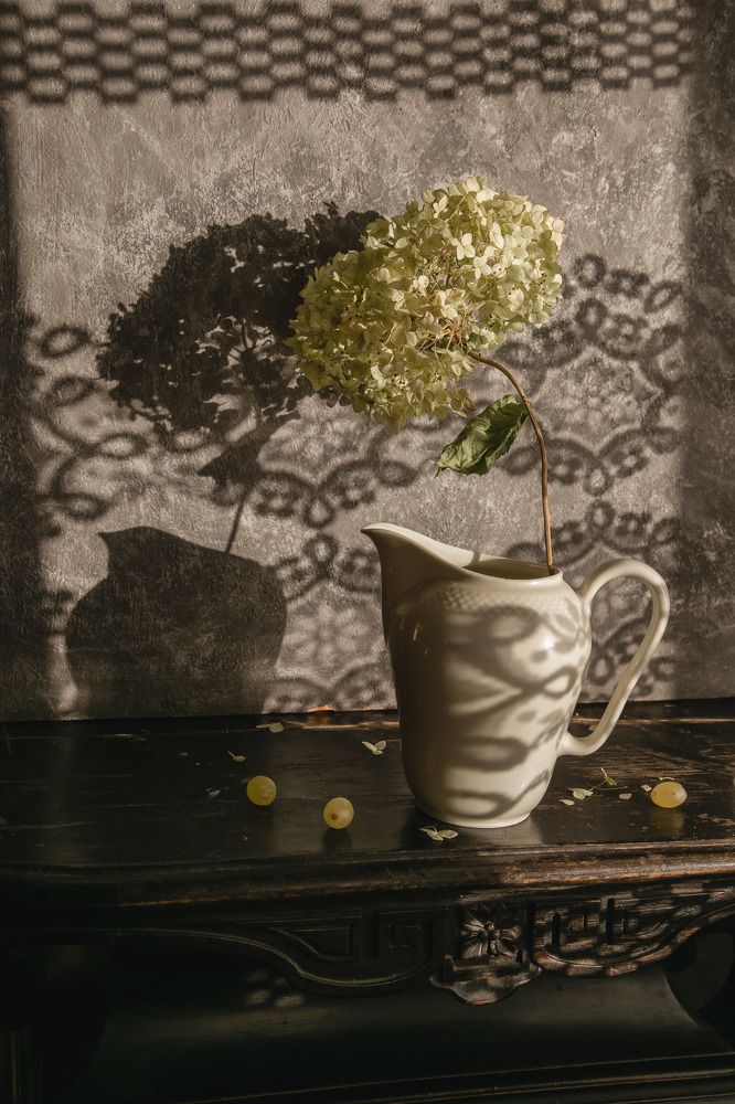 Фотография автора Анна Петина