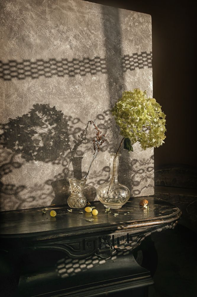 Фотография автора Анна Петина