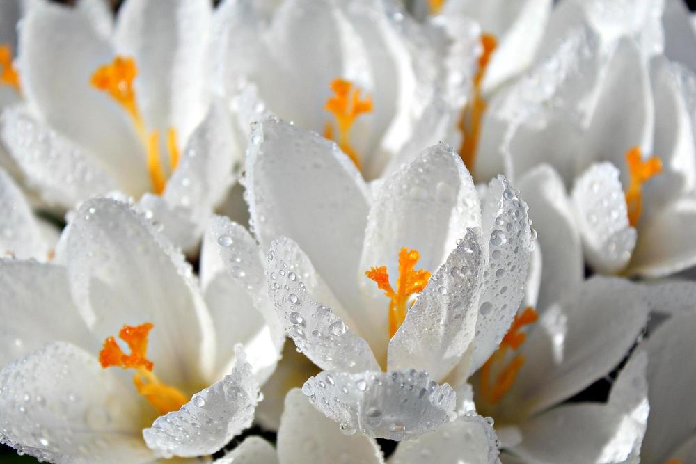 Photograph by Ольга Митрофанова