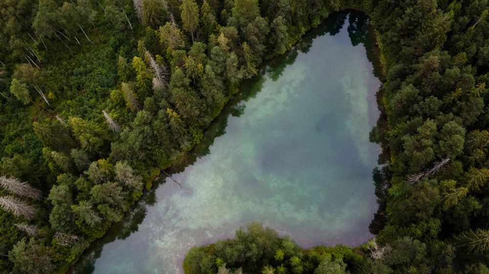 Photograph by Olga Degtjareva