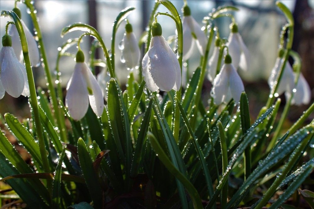 Photograph by Ольга Митрофанова