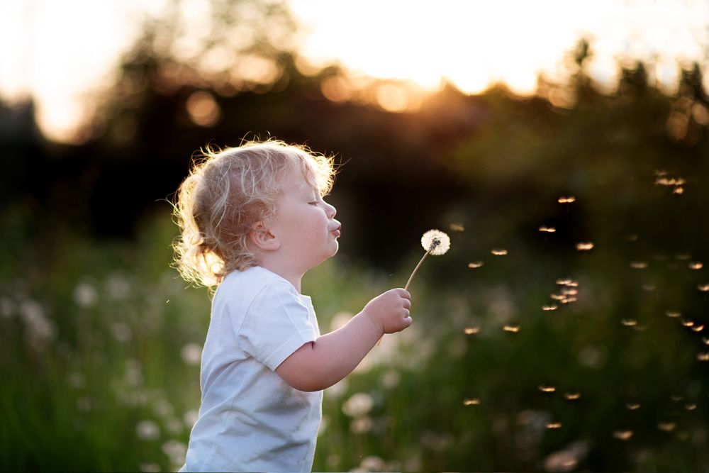 Photograph by Роза Нургалина