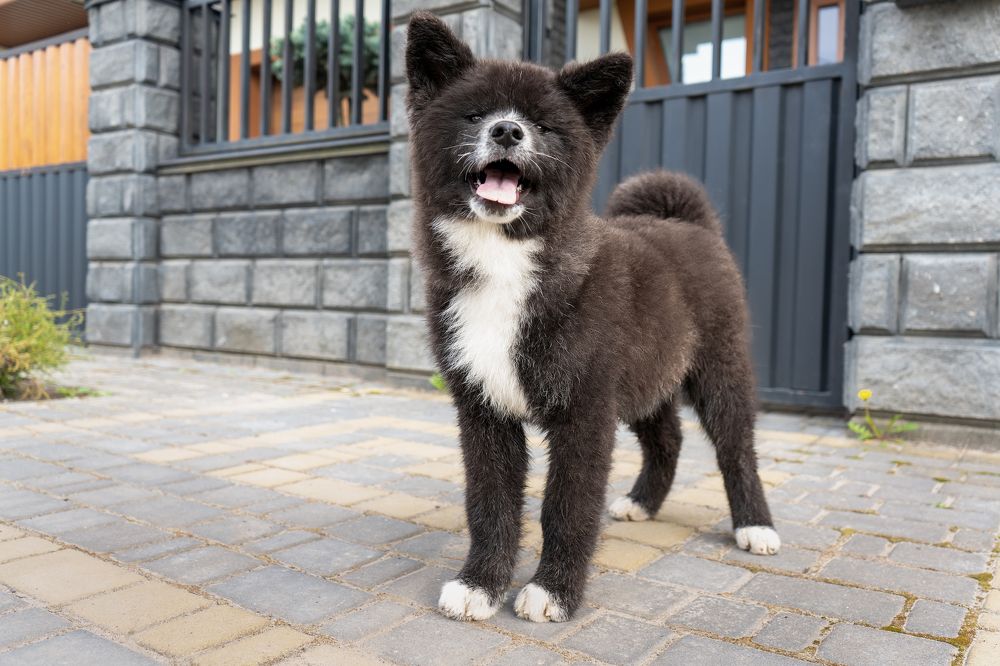 Photograph by Валентина Найдюк