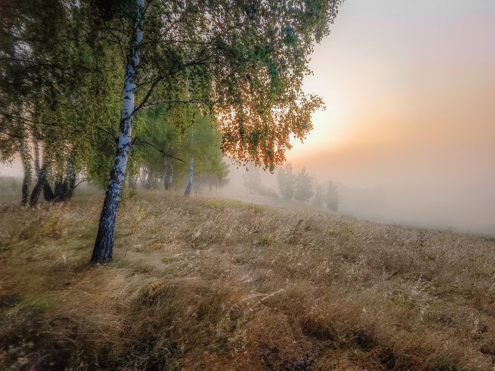 Photograph by Кондрашова Светлана