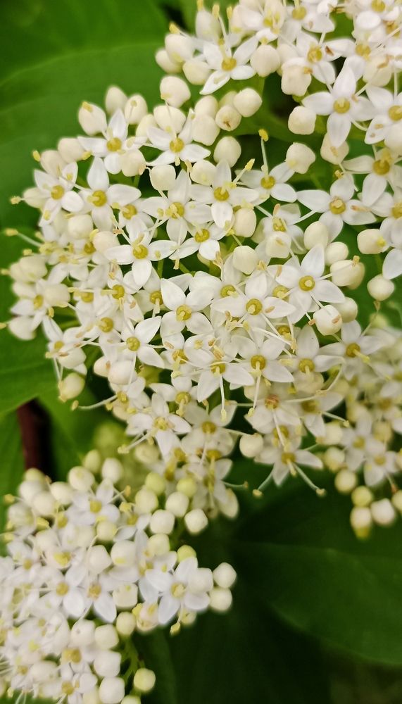 Photograph by Людмила Викулова