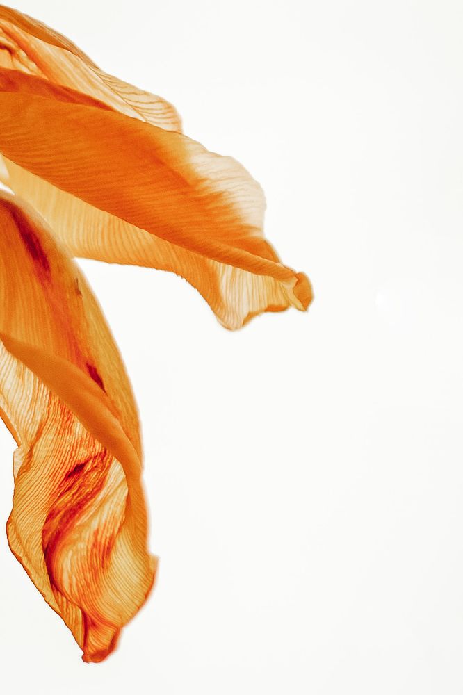 Photograph by Анастасия Макеева