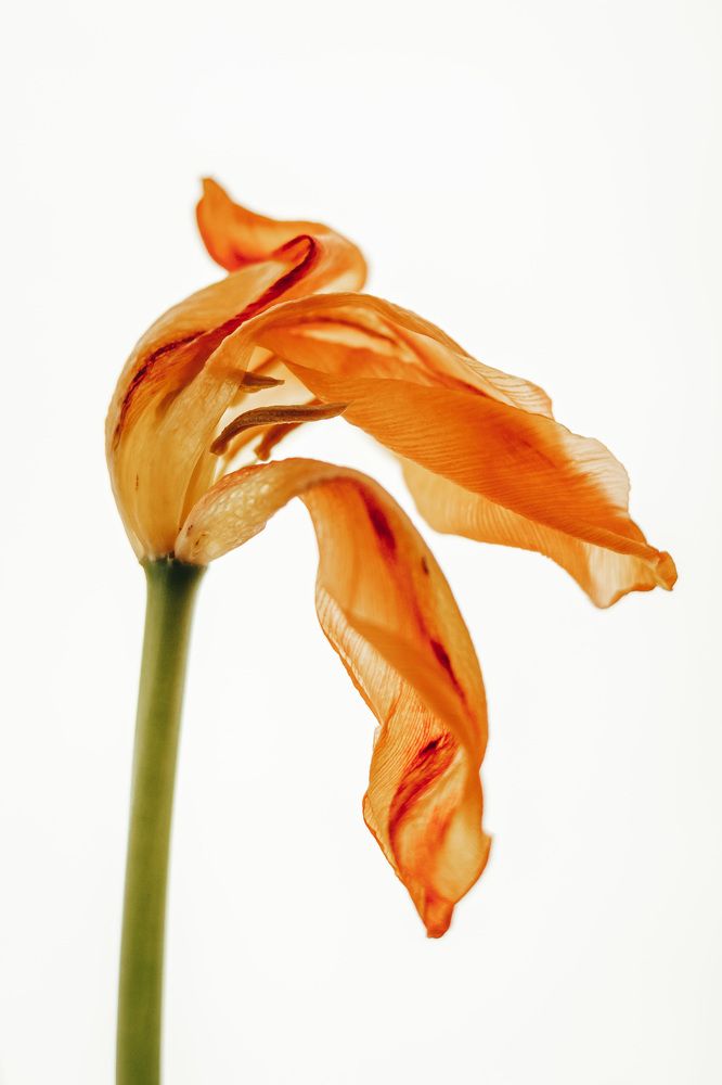 Photograph by Анастасия Макеева