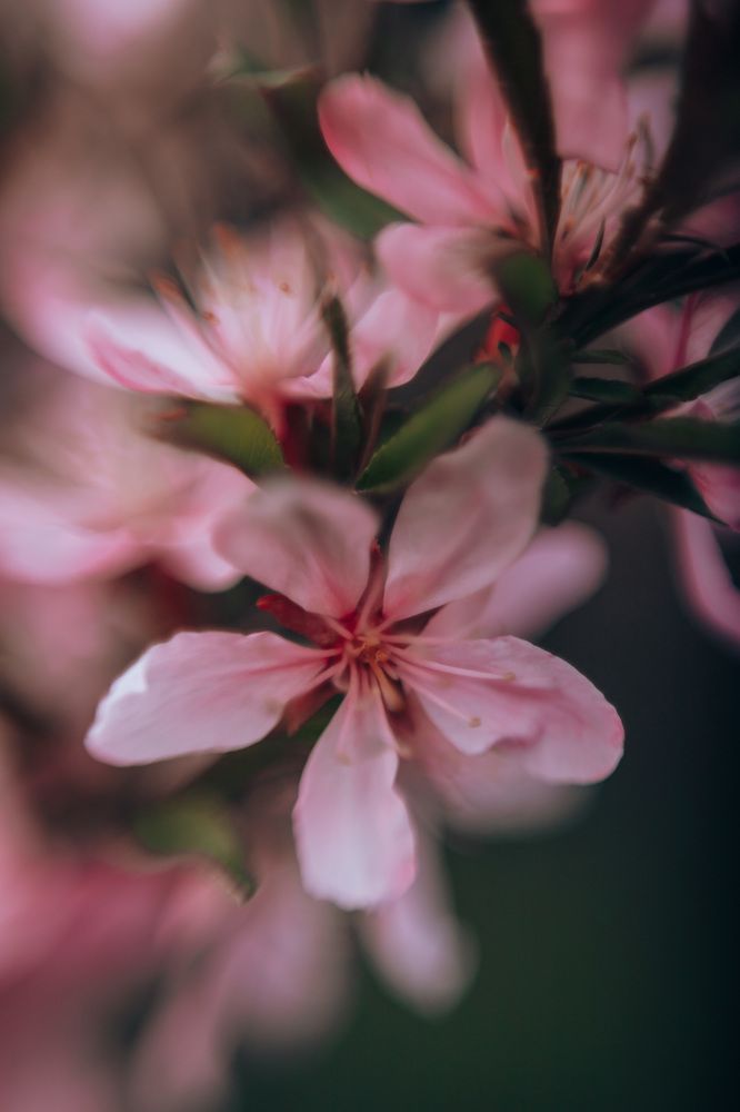 Photograph by Анастасия Макеева