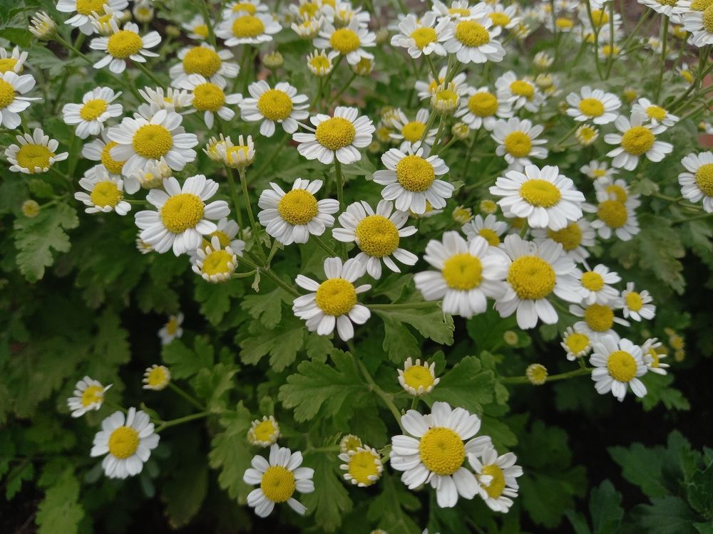 Фотография автора Галина Бисенкулова