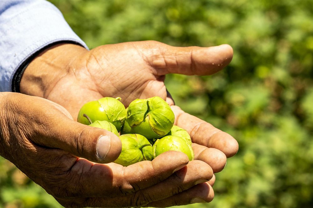 Photograph by Luis Rodríguez Araiza