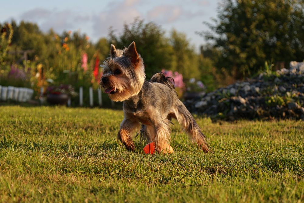 Photograph by Вальшина Алина